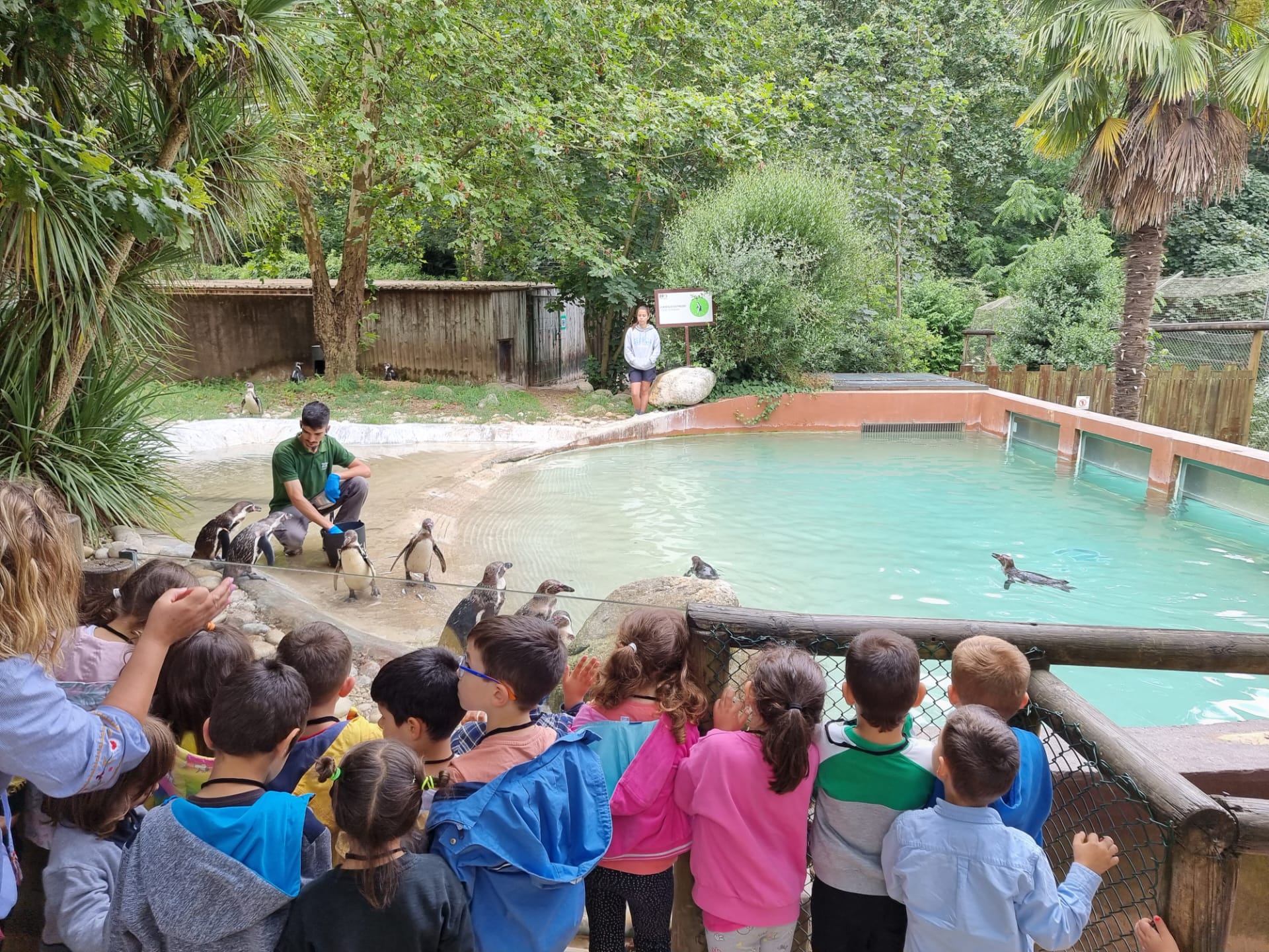 Zoo de Santo Inácio – EB de S. João de Ver