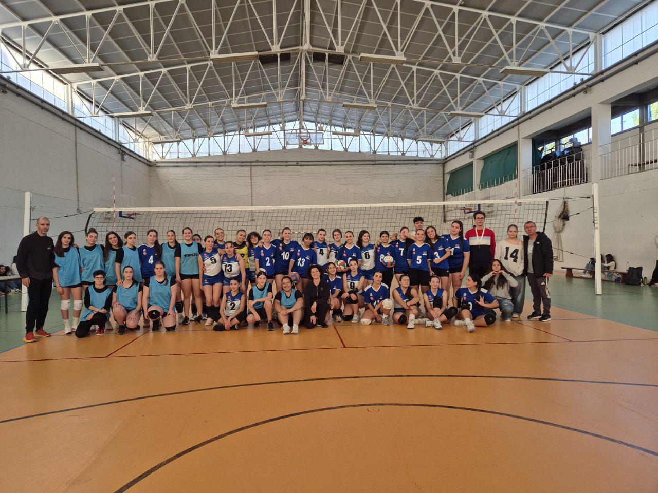 Voleibol Feminino