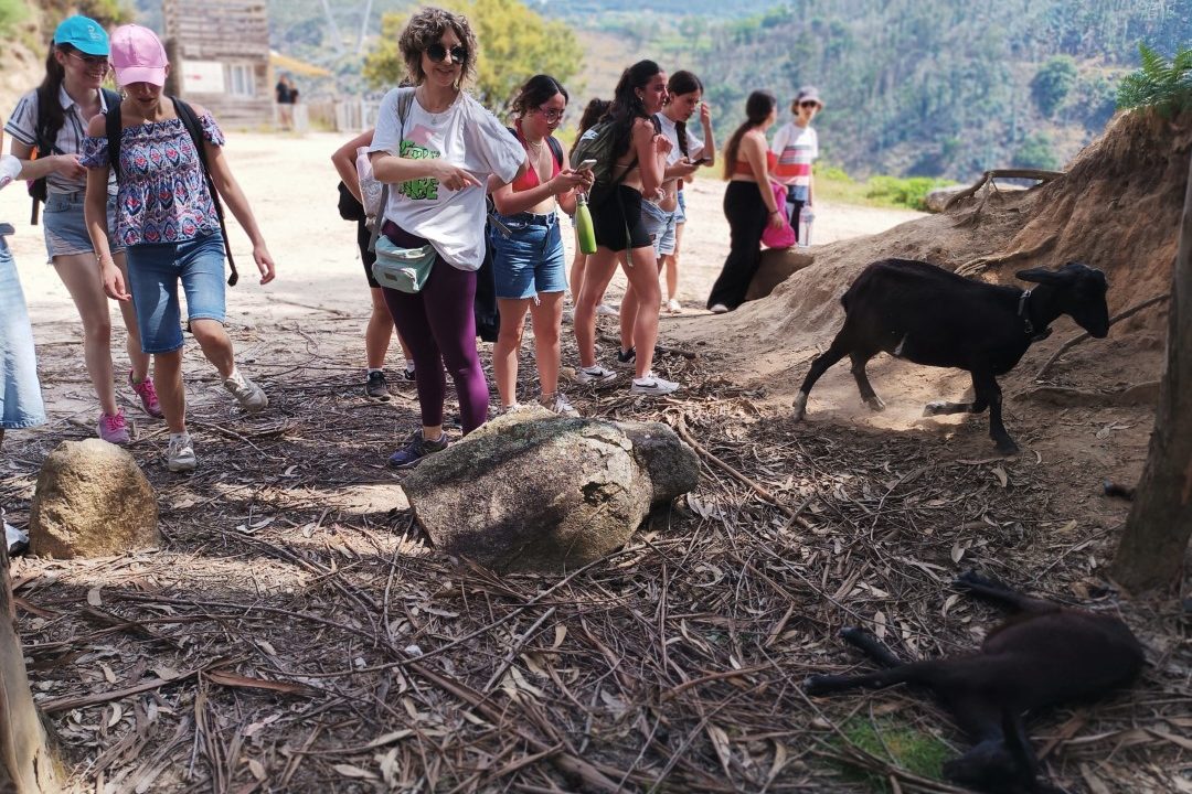 Passadiços3