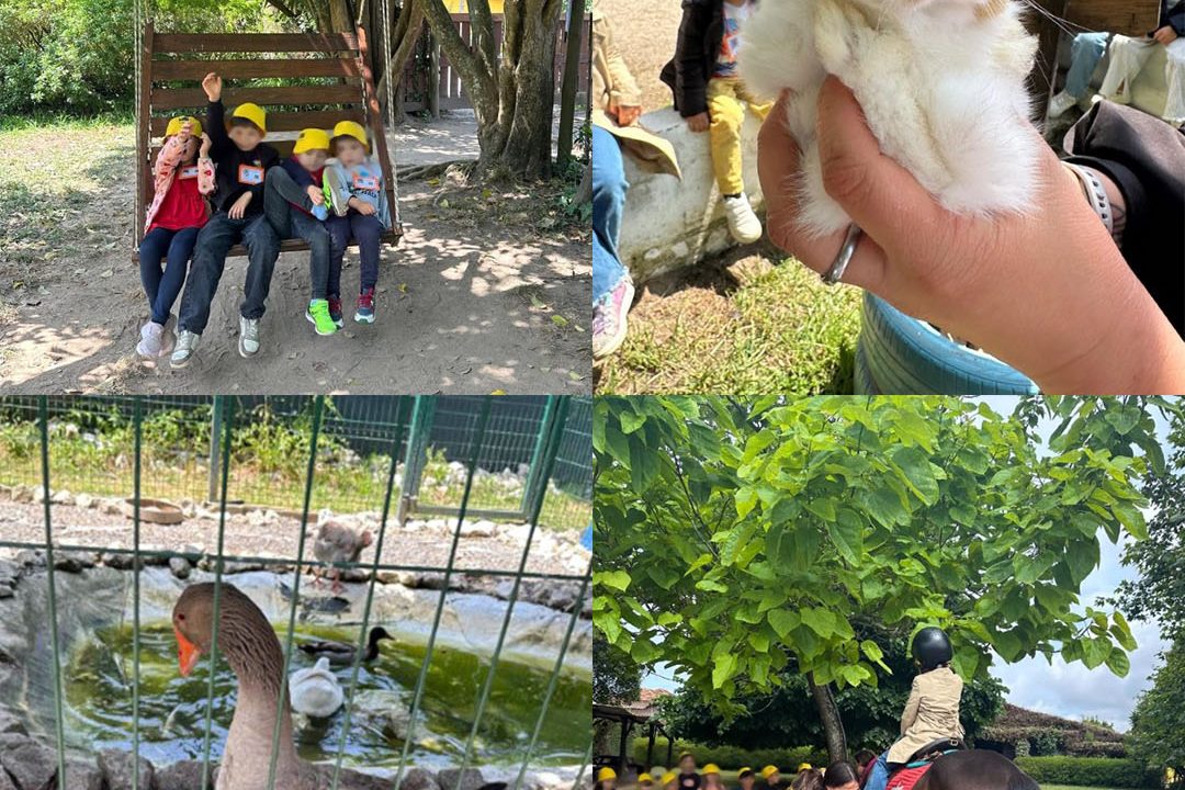 Quinta_Pedagógica2