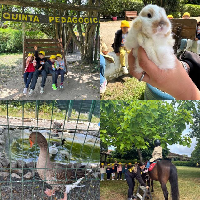 Quinta_Pedagógica2 Quinta_Pedagógica2